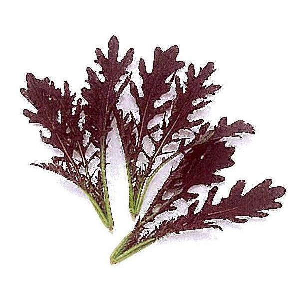 yxr[[tzt bh炵؁Q/1dl