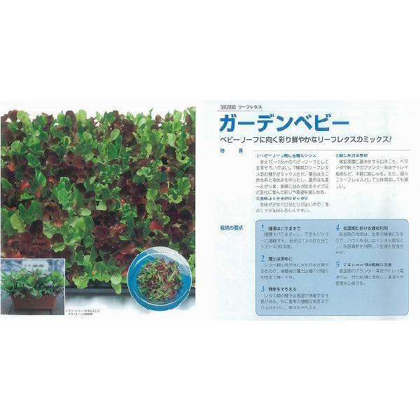 yxr[[tzxr[[t^X@K[fxr[k^LC琬l/܁i1.5mlj