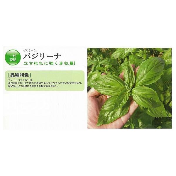 yn[uzoW[ikz0336l/100R[g