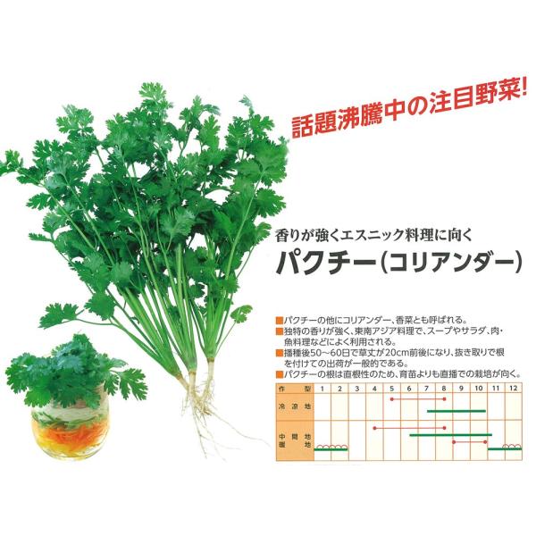 yn[uzpN`[ERA_[@iVV@MSX-1189jkcl/