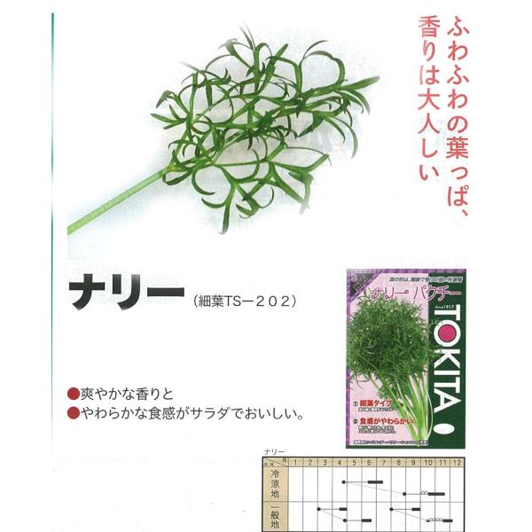 yn[uzRA_[ipN`[EVc@CE؁j@i[iחtTS-202jkgL^cl/܁i10.0mlj