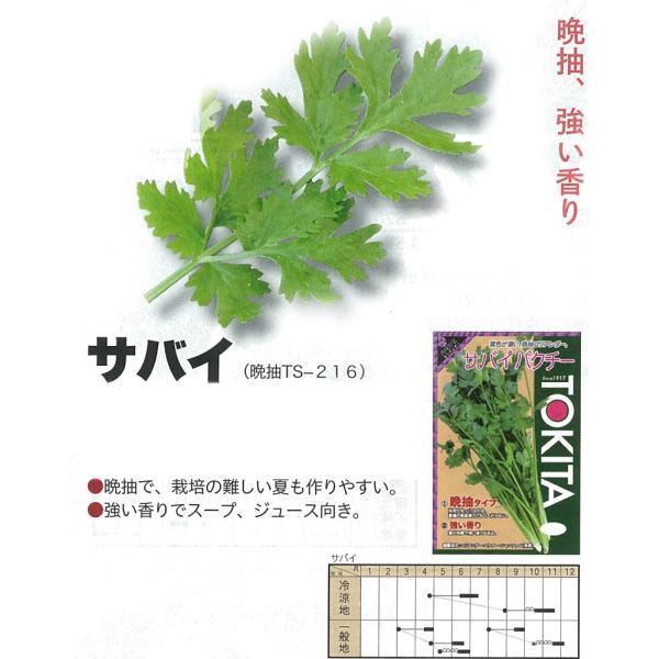 yn[uzRA_[ipN`[EVc@CE؁j@ToCiӒTS-216jkgL^cl/܁i10.0mlj