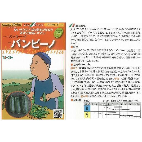 yC^A̖؁zGustoItalia YbL[i or[mi~jYbL[ij/