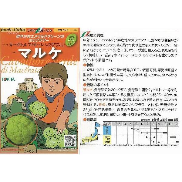 yC^A̖؁zGustoItalia J[HtBI[iFfEfBE}`F[^^Cvj }PiJt[j/