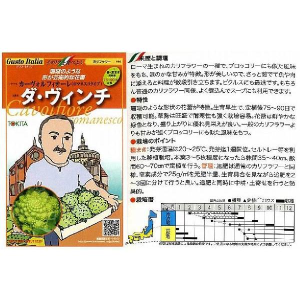 yC^A̖؁zGustoItalia J[{tBI[i}lXR^Cvj _EB`iJt[jk_Czl/