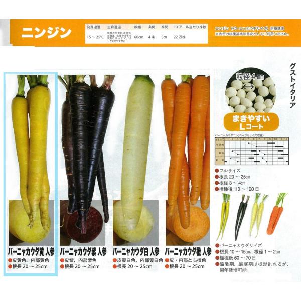 yC^A̖؁zGustoItalia@o[jJE_@lQ/1痱iLR[gj