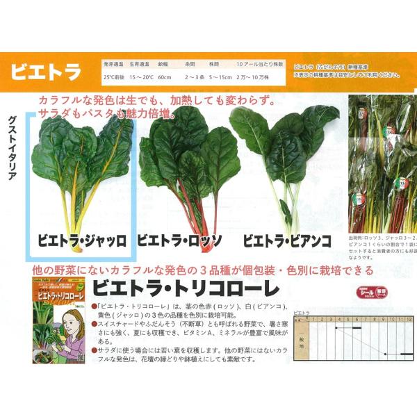 yC^A̖؁zGustoItalia@rGgEWbiӂ񂻂EFj /1痱