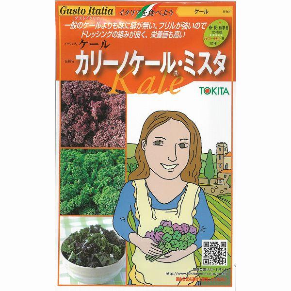 yC^A̖؁zGustoItalia@P[@J[mP[E~X^iP[jk_Czl/