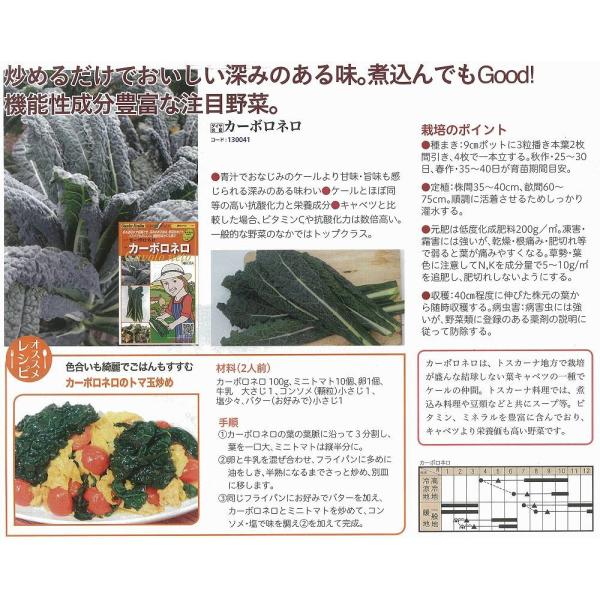 yC^A̖؁zGustoItalia J[{l J[{liLxcj/