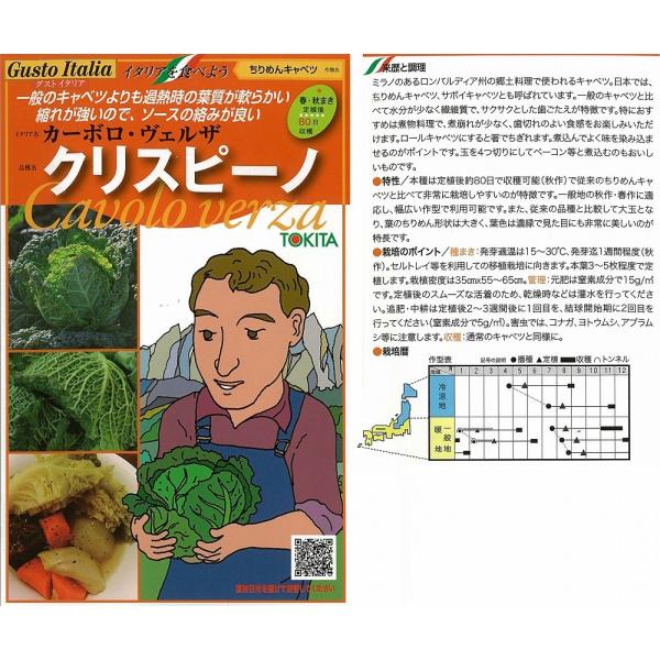 yC^A̖؁zGustoItalia J[{EFU@NXs[mi߂Lxc@T{CLxcjk_Czl/
