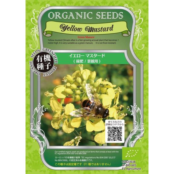 yI[KjbN̉ԂƗΔzCG[}X^[hiΔ@iϗpj/