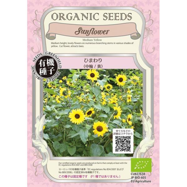 yI[KjbN̉ԂƗΔzЂ܂iց@j/