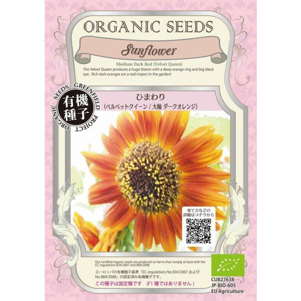 yI[KjbN̉ԂƗΔzЂ܂ixxbgNC[@փ_[NIWj/