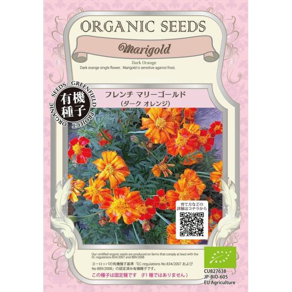 yI[KjbN̉ԂƗΔzt`}[S[hi_[NIWj/܁i0.06gj