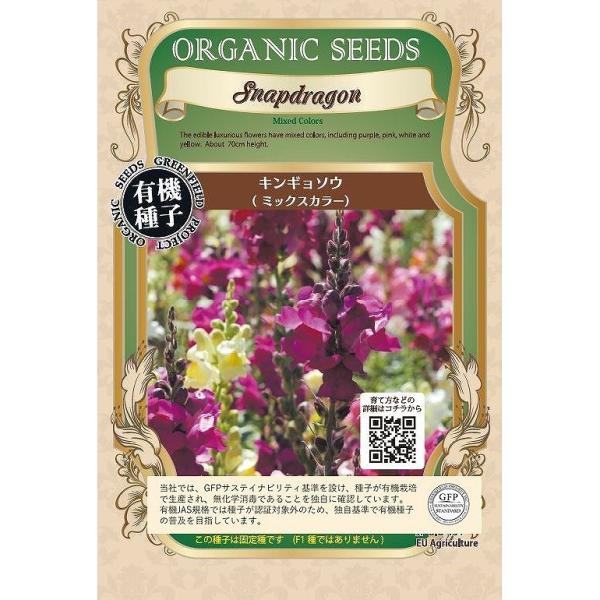 yI[KjbN̉ԂƗΔzLM\E[A463]/