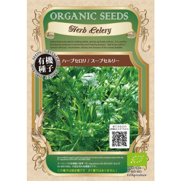 yI[KjbÑn[uzn[uZ@X[vZ[/