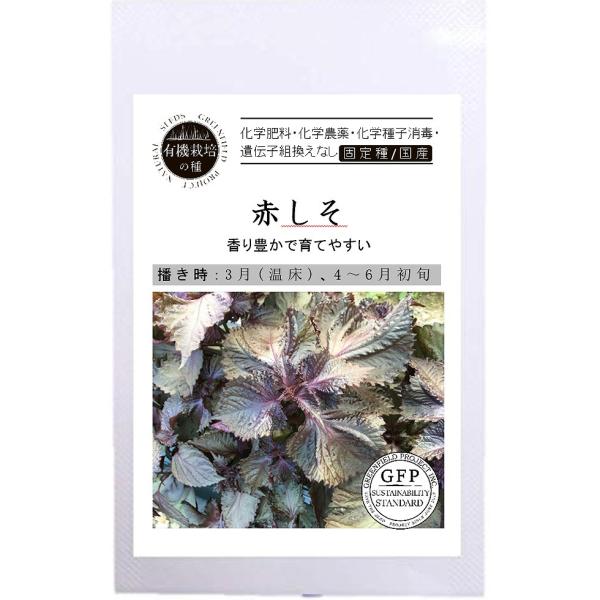 yI[KjbÑn[uz@Ԃ[A456] /