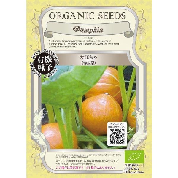 yI[KjbN̉ʍ؁zڂiԔIj/