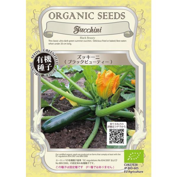 yI[KjbN̉ʍ؁zYbL[jiubNr[eB[j/