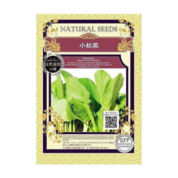 yI[KjbN̗t؁zR}ci@؁kŒl[A344]/܁i1gj