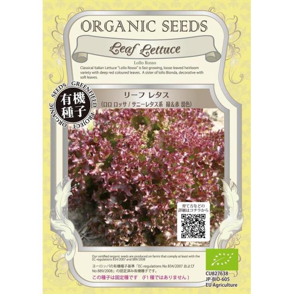 yI[KjbN̗t؁z[t^XibT@Tj[^Xn@ΐԍFj/