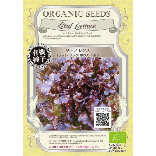 yI[KjbN̗t؁z[t^XibhT_{E@ԁj/