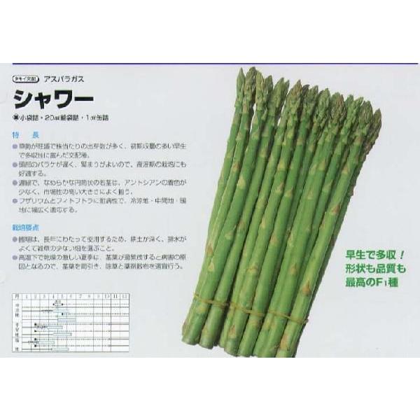 yAXpKXzV[k^LCzl/܁i1.2mlj