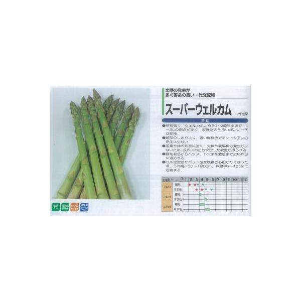 yAXpKXzX[p[EFJkziTJ^jl/20ml