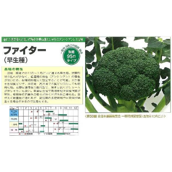 【はなみち】大人気の新種が激安！ブロッコリー（アーサー）2個 はなみち】大人気の新種が激安！ブロッコリー（アーサー）2個