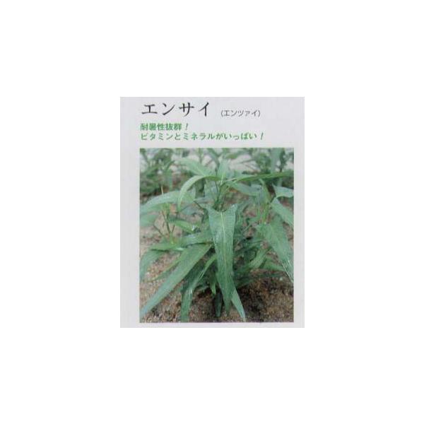 y؁zGTCiGc@CjkŒl/܁i13mlj