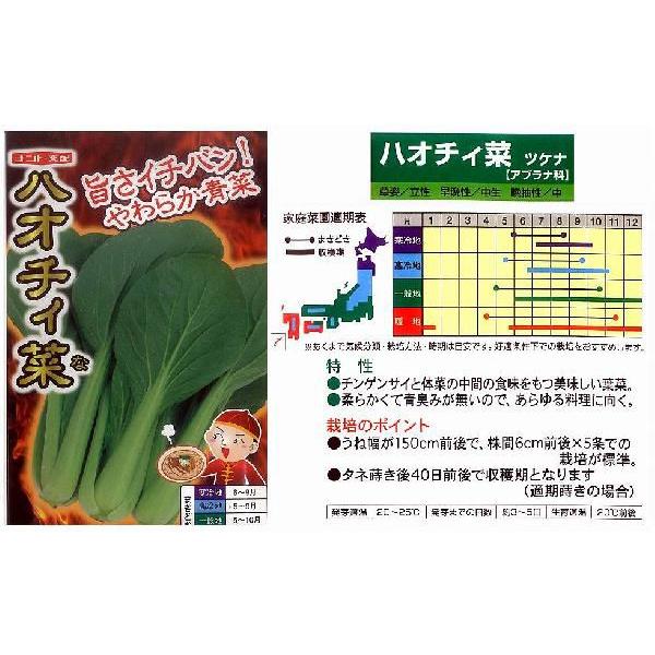 y؁znI`B؁kigzl/܁i5.0mlj