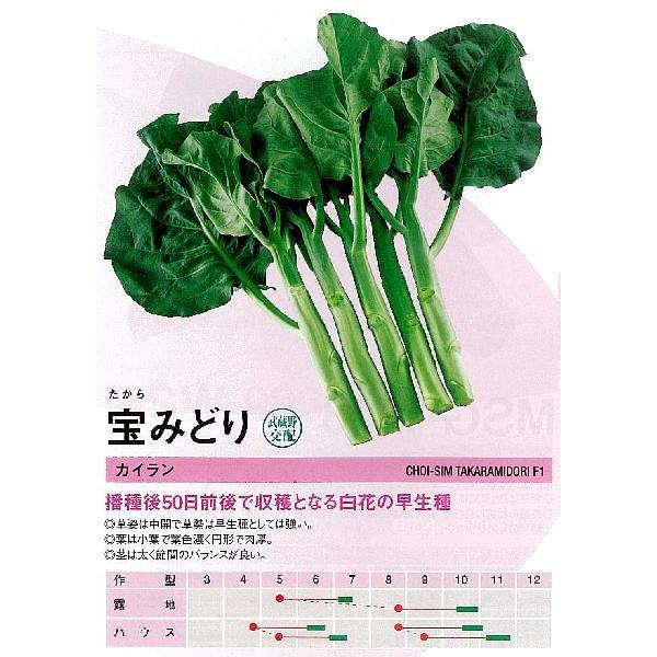 y؁zJC@݂ǂkzl/܁i4mlj