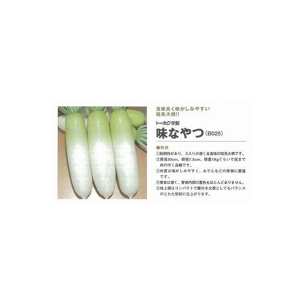 y_CRzȂkg[zNzl/20ml