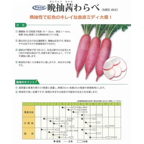 y_CRzӒׁkFzl/܁i1.5mlj
