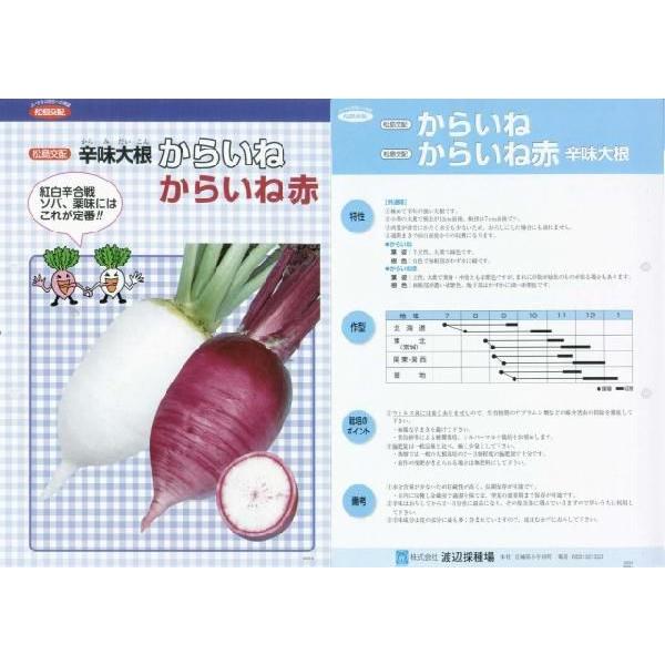 y_CRzh卪@炢ːԁkzl/܁i5.4mlj