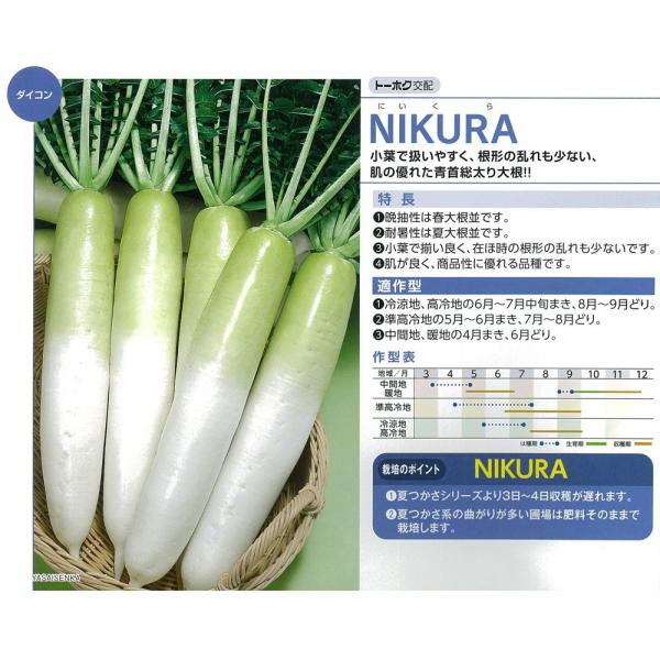 y_CRzNIKURAiɂjkg[zNzl/܁i5.0mlj