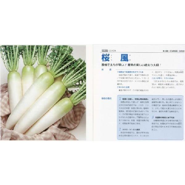 y_CRzk^LCzl/܁i3.5mlj