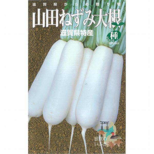 ダイコン】滋賀の伝統野菜シリーズ 山田ねずみ大根〔組合選抜〕 : 家庭