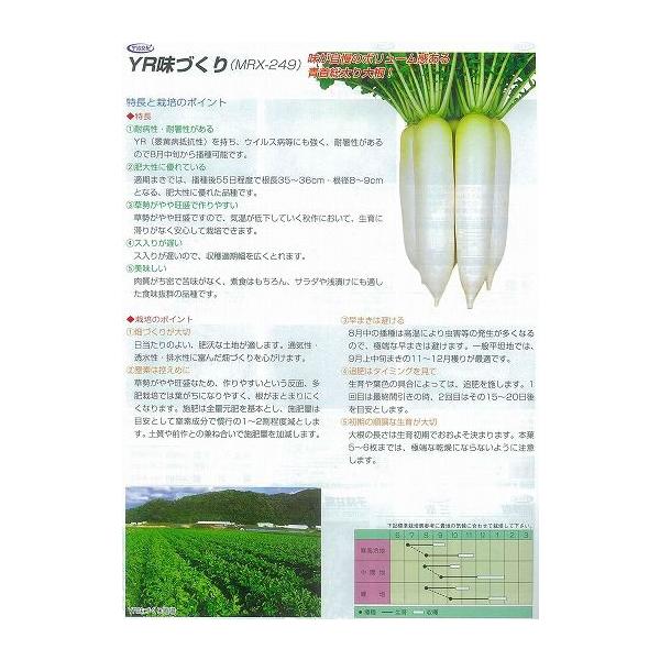 y_CRzł卪YRÂkFzl/܁i4mlj