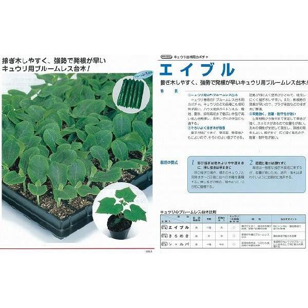 yؗpizLEp GCuk^LCzl/350