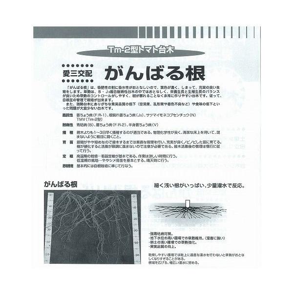 yؗpizg}gp ΂鍪kOzl/100