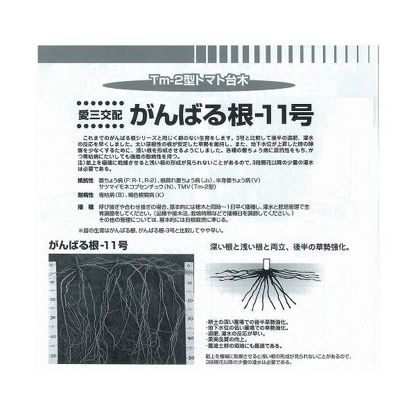 yؗpizg}gp ΂鍪11kOzl/100