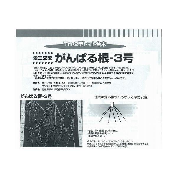 yؗpizg}gp ΂鍪3kOzl/100