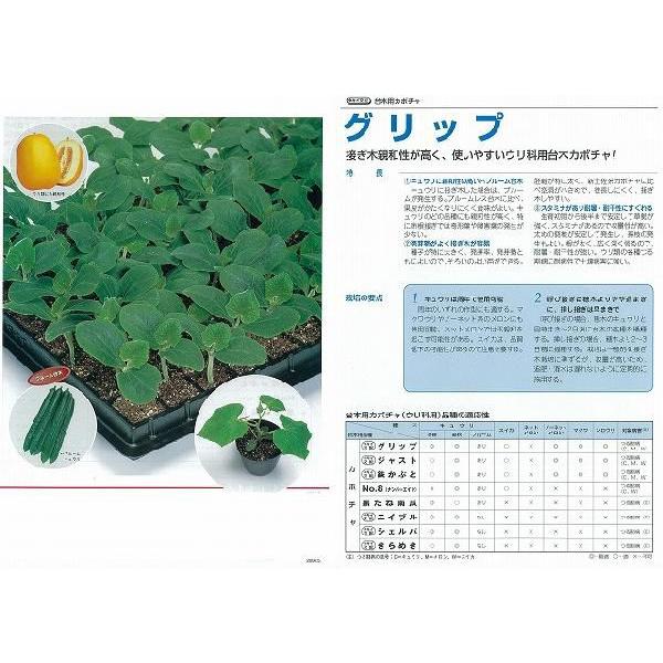 yؗpizLEp Obvk^LCzl/350