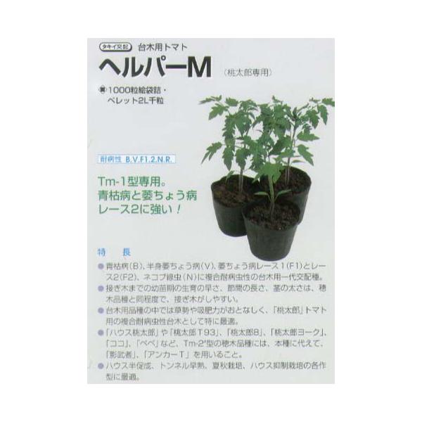 yؗpizg}gp wp[Mk^LCzl/1痱