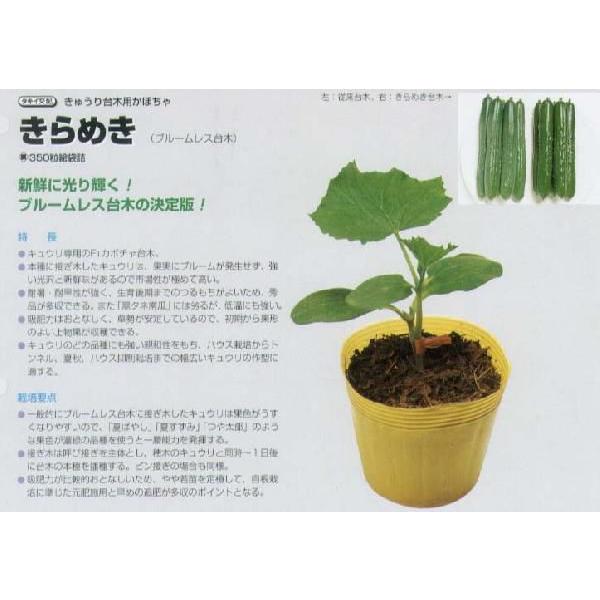 yؗpizLEp ߂k^LCzl/350