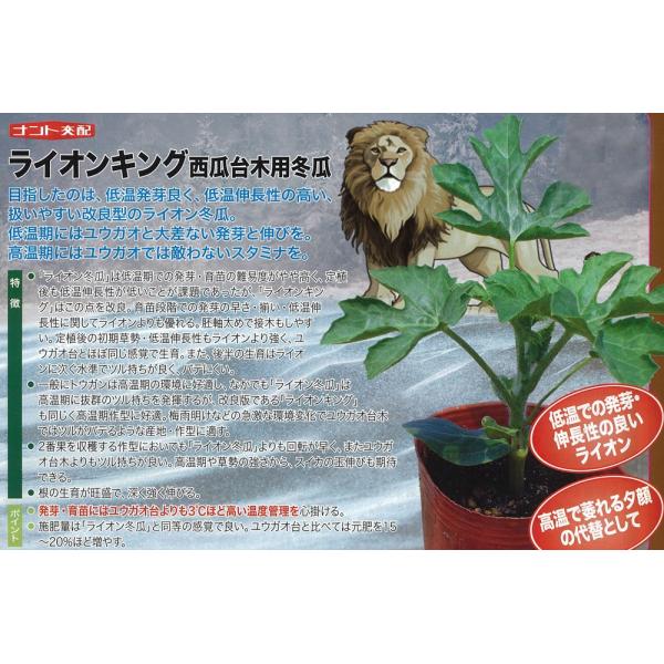 yؗpizXCJؗp~Z@CILOkigzl/400