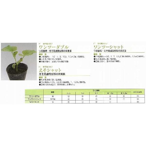 yؗpizp c[_ukAOAl/100