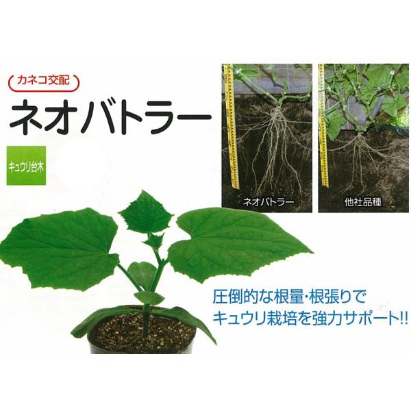 yؗpizLEp@lIog[kJlRzl/350