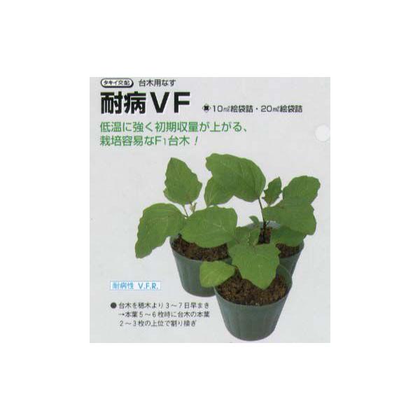 yؗpiziXp ϕaVFk^LCzl/1痱